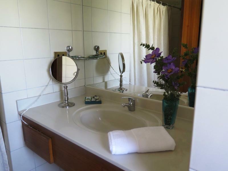 Renta Suite Menorca Santiago du Chili Extérieur photo
